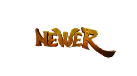 Newer.png